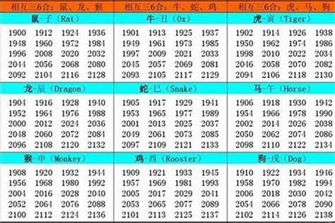 1982屬|82年属什么生肖 1982年与什么生肖合作最佳